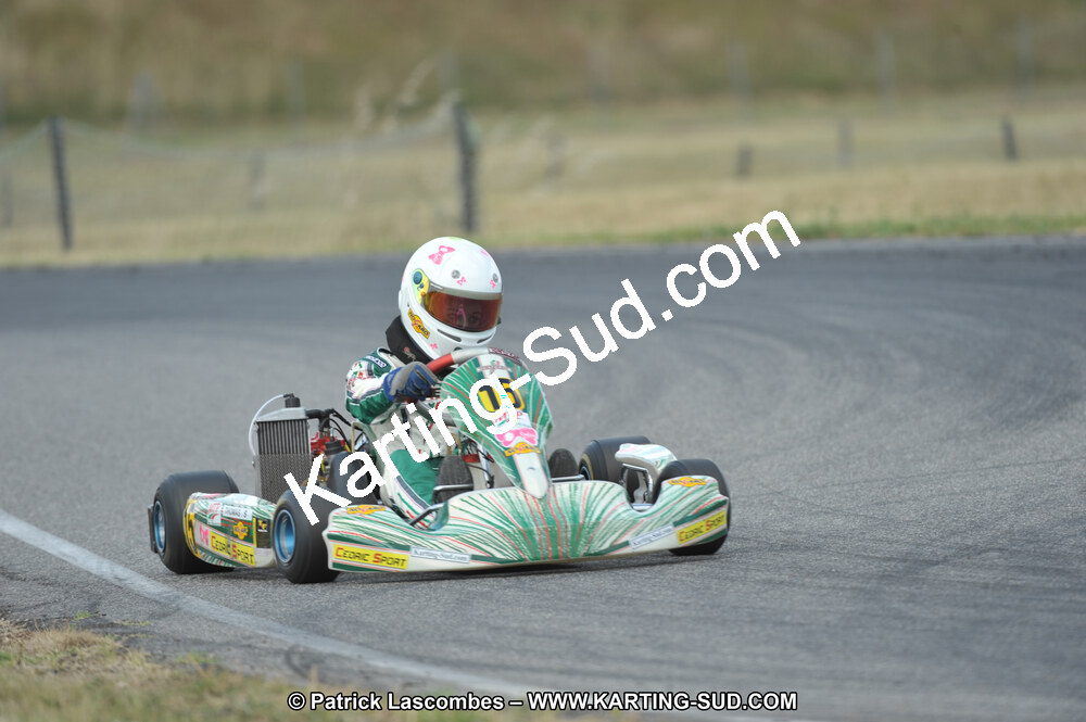 15/05/2011 : 4ème manche du Championnat du Sud à Muret (Photos Patrick Lascombes) 2011 — karting