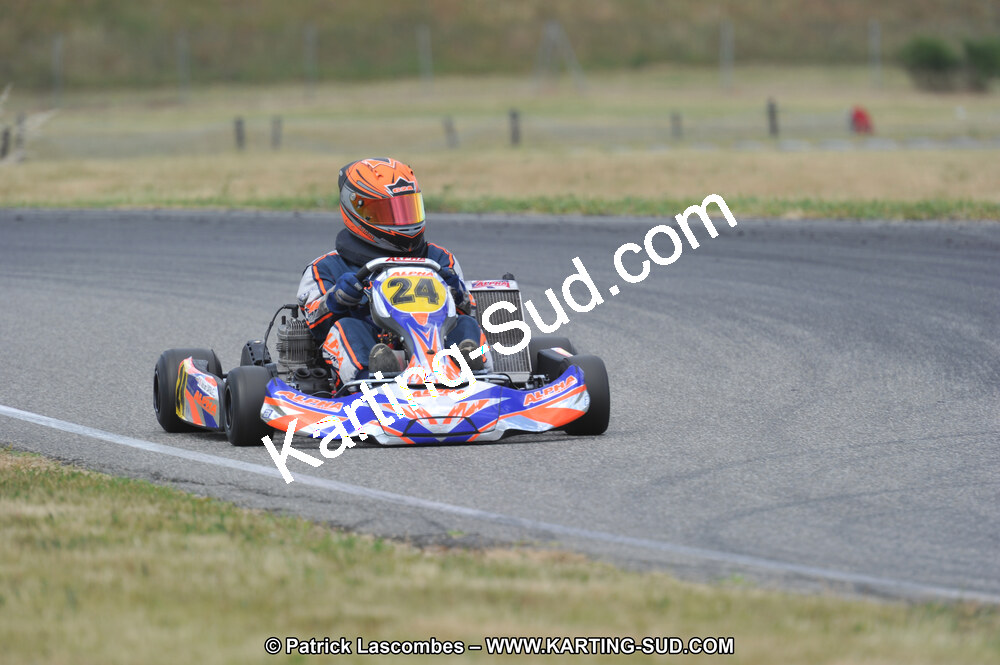 DSC_1685.JPG