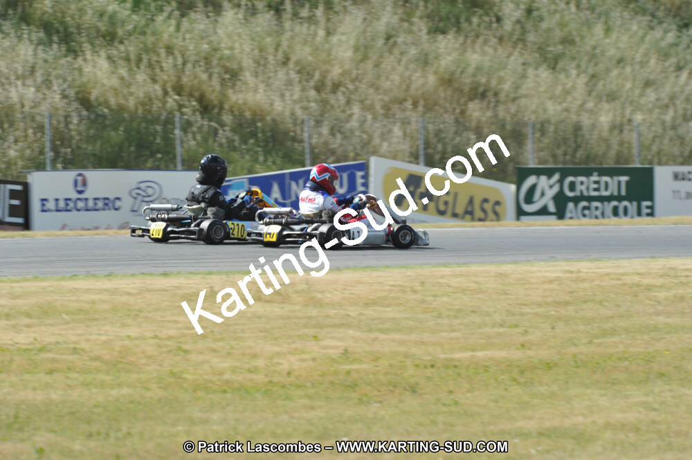 DSC_2131.JPG
