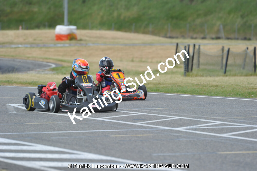 DSC_2213.JPG