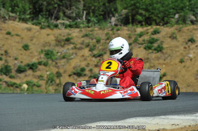 19/06/2011 : 4ème manche du Championnat Open Atlantique à Layrac (Photos Patrick Lascombes) 2011 — karting