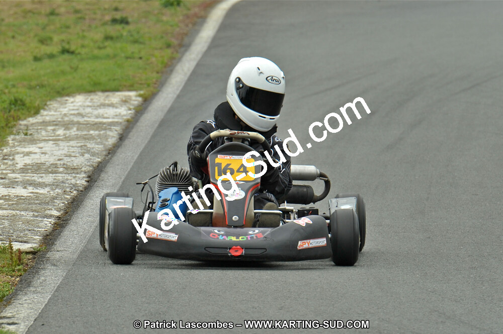 19/06/2011 : 4ème manche du Championnat Open Atlantique à Layrac (Photos Patrick Lascombes) 2011 — karting