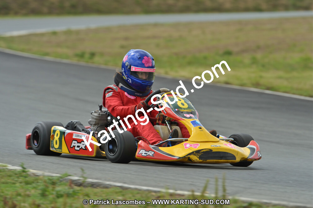 19/06/2011 : 4ème manche du Championnat Open Atlantique à Layrac (Photos Patrick Lascombes) 2011 — karting
