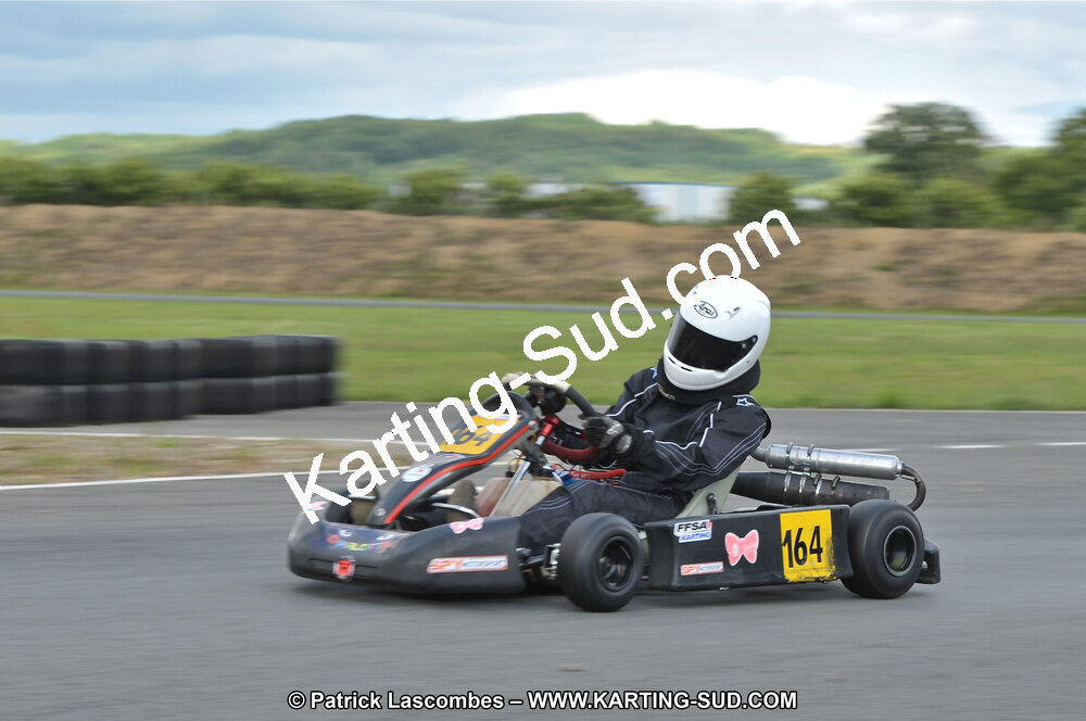 19/06/2011 : 4ème manche du Championnat Open Atlantique à Layrac (Photos Patrick Lascombes) 2011 — karting