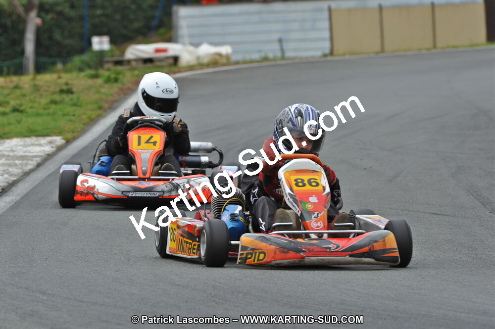 DSC_2310.JPG