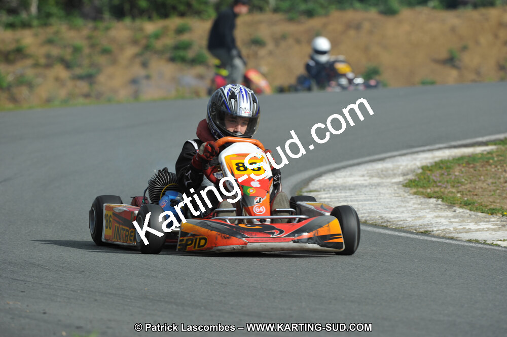 DSC_2508.JPG