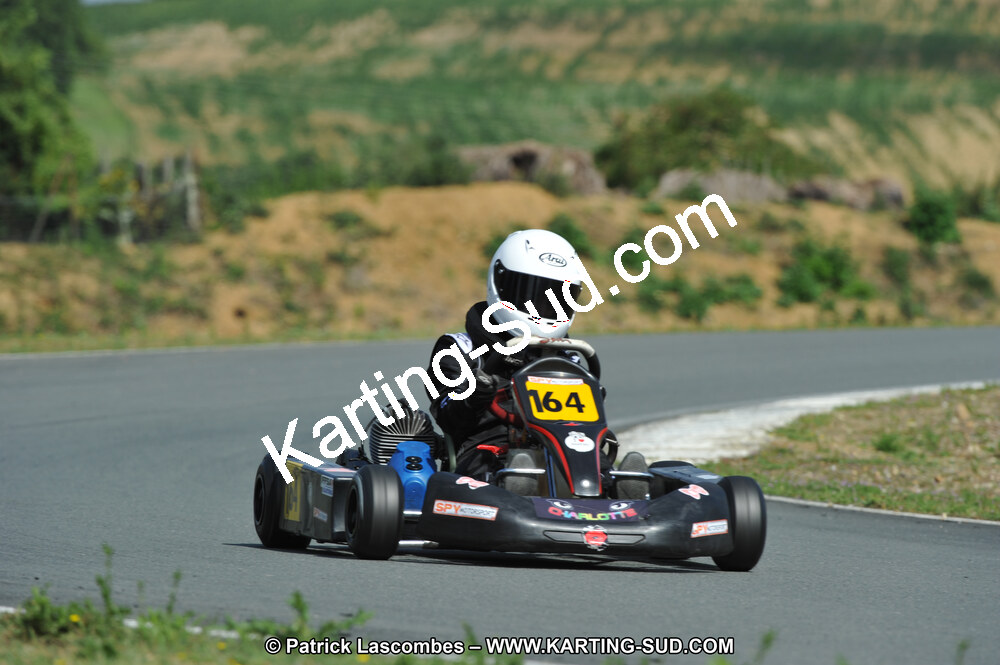 19/06/2011 : 4ème manche du Championnat Open Atlantique à Layrac (Photos Patrick Lascombes) 2011 — karting