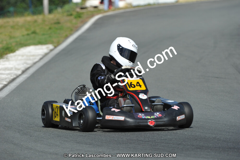19/06/2011 : 4ème manche du Championnat Open Atlantique à Layrac (Photos Patrick Lascombes) 2011 — karting