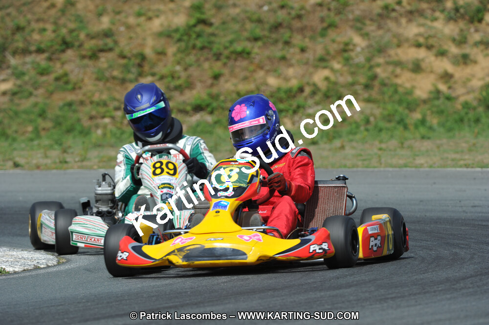 19/06/2011 : 4ème manche du Championnat Open Atlantique à Layrac (Photos Patrick Lascombes) 2011 — karting