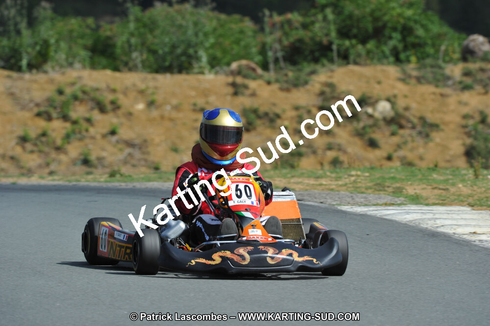 19/06/2011 : 4ème manche du Championnat Open Atlantique à Layrac (Photos Patrick Lascombes) 2011 — karting