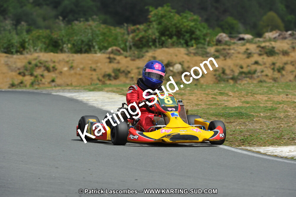 19/06/2011 : 4ème manche du Championnat Open Atlantique à Layrac (Photos Patrick Lascombes) 2011 — karting