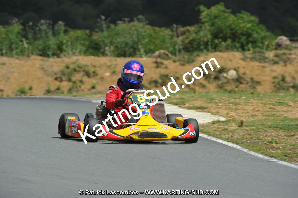 19/06/2011 : 4ème manche du Championnat Open Atlantique à Layrac (Photos Patrick Lascombes) 2011 — karting