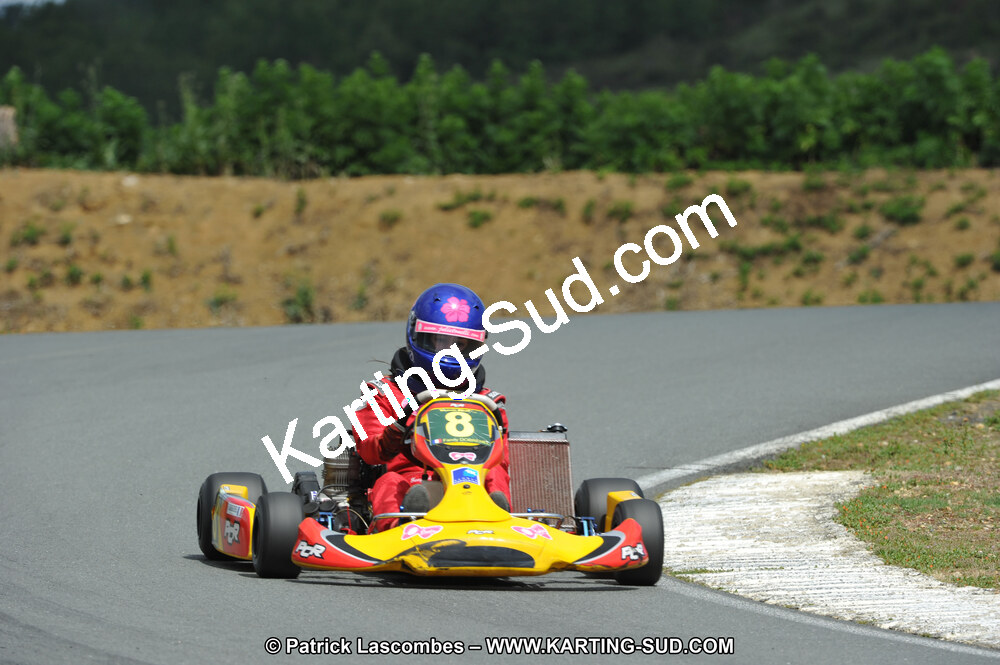 19/06/2011 : 4ème manche du Championnat Open Atlantique à Layrac (Photos Patrick Lascombes) 2011 — karting