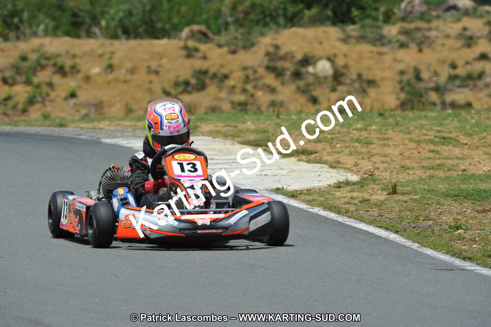 19/06/2011 : 4ème manche du Championnat Open Atlantique à Layrac (Photos Patrick Lascombes) 2011 — karting