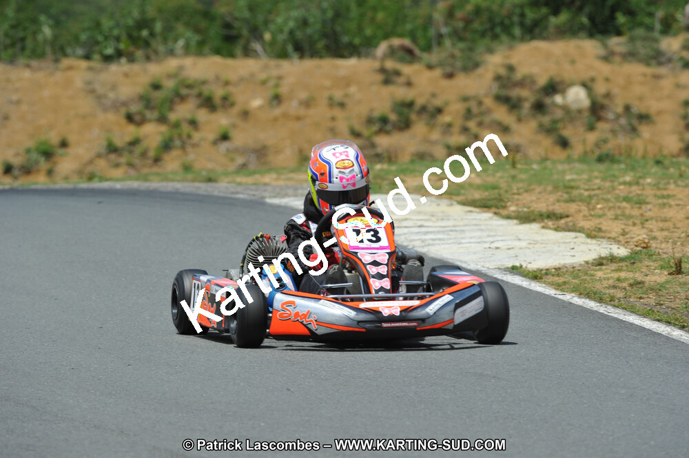 19/06/2011 : 4ème manche du Championnat Open Atlantique à Layrac (Photos Patrick Lascombes) 2011 — karting