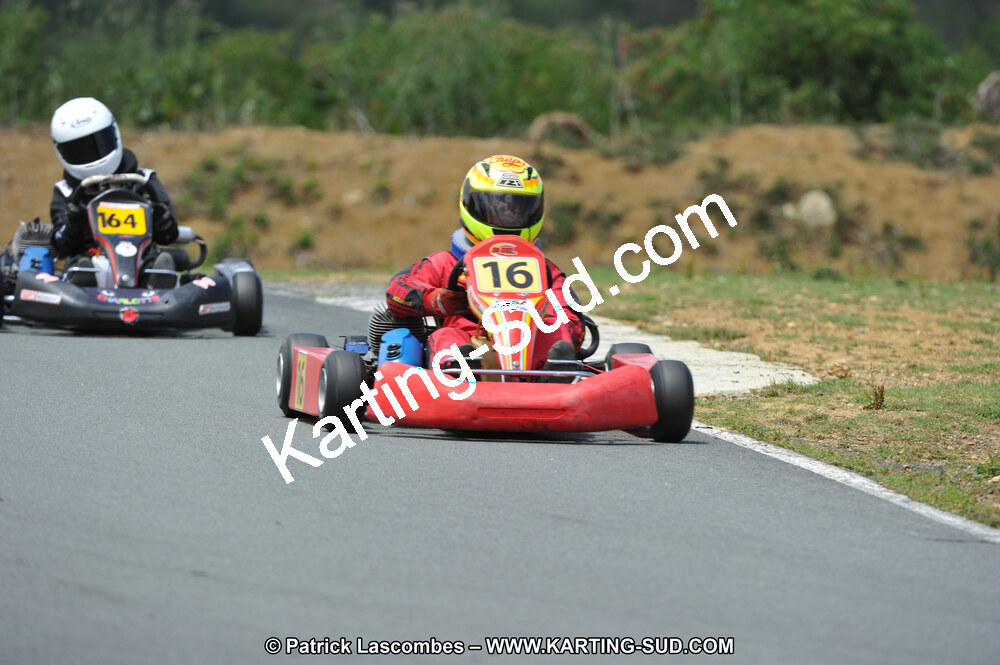 DSC_3510.JPG