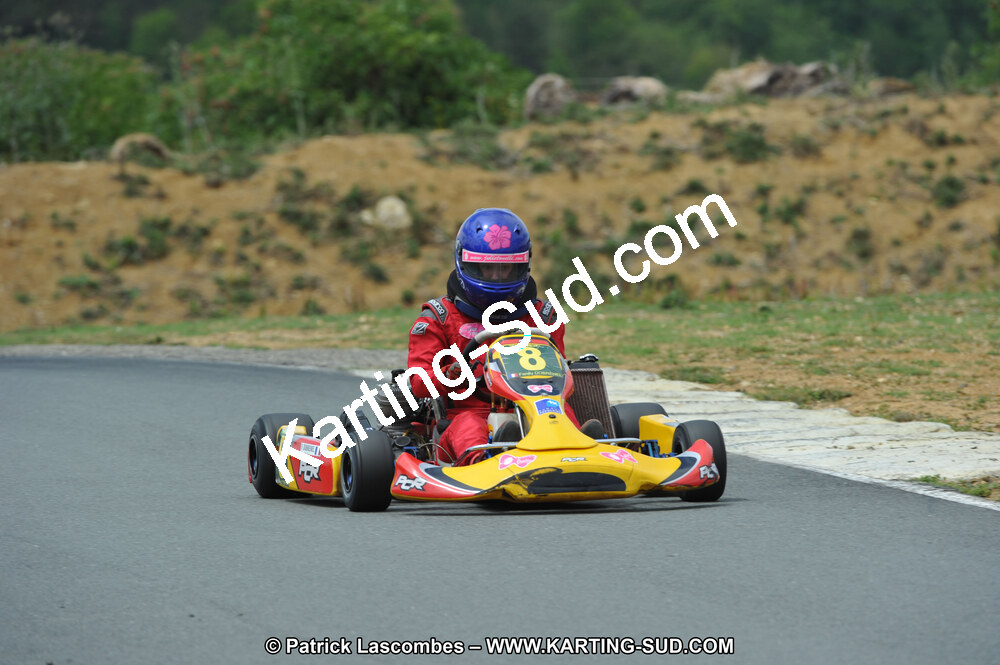 19/06/2011 : 4ème manche du Championnat Open Atlantique à Layrac (Photos Patrick Lascombes) 2011 — karting