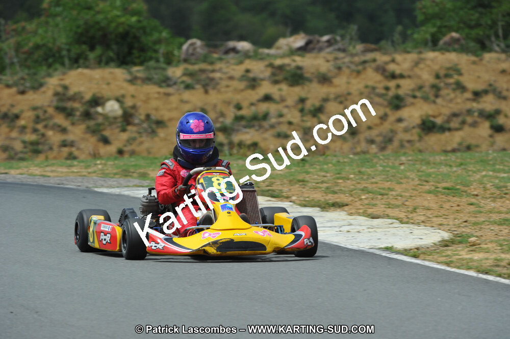 19/06/2011 : 4ème manche du Championnat Open Atlantique à Layrac (Photos Patrick Lascombes) 2011 — karting