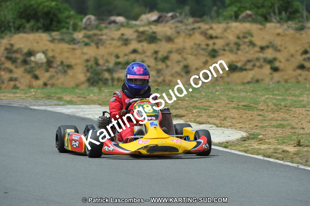 19/06/2011 : 4ème manche du Championnat Open Atlantique à Layrac (Photos Patrick Lascombes) 2011 — karting