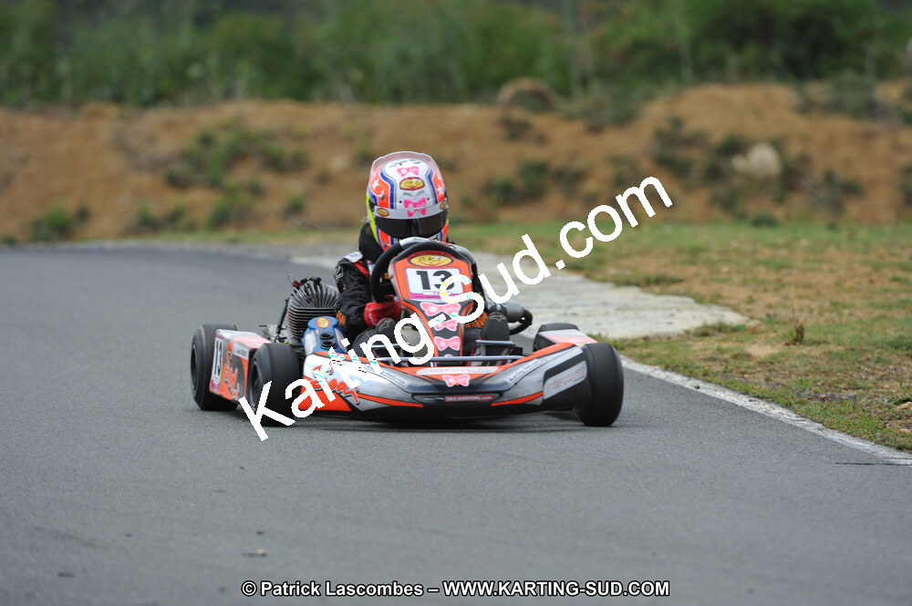 19/06/2011 : 4ème manche du Championnat Open Atlantique à Layrac (Photos Patrick Lascombes) 2011 — karting