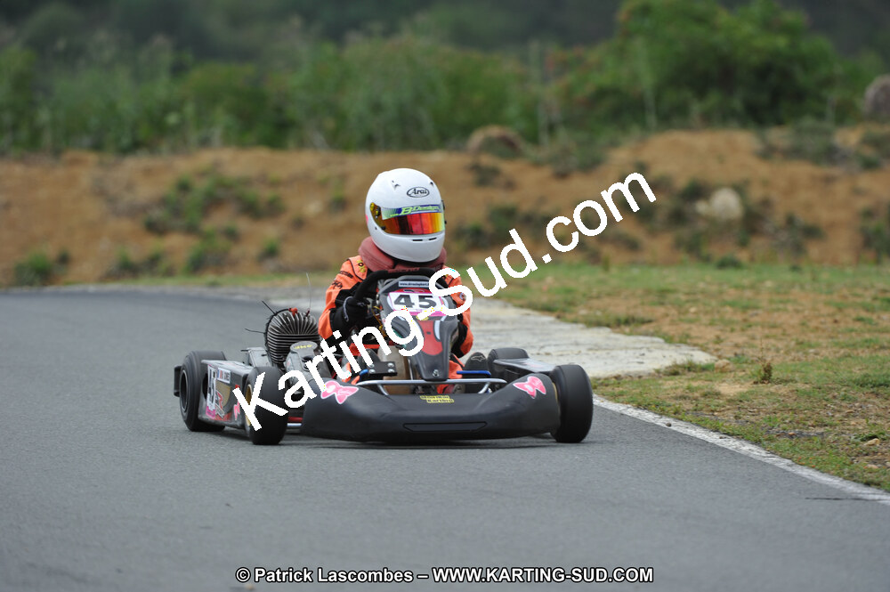 19/06/2011 : 4ème manche du Championnat Open Atlantique à Layrac (Photos Patrick Lascombes) 2011 — karting