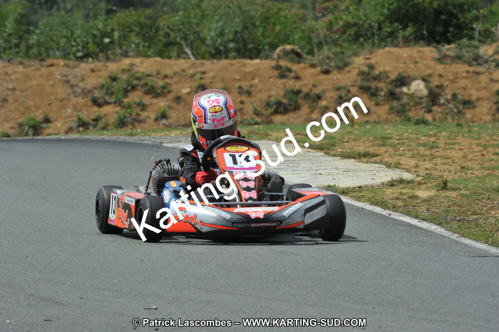 19/06/2011 : 4ème manche du Championnat Open Atlantique à Layrac (Photos Patrick Lascombes) 2011 — karting