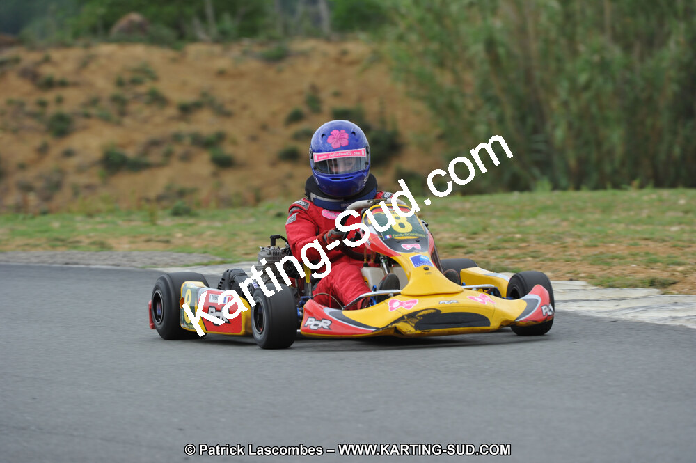 19/06/2011 : 4ème manche du Championnat Open Atlantique à Layrac (Photos Patrick Lascombes) 2011 — karting