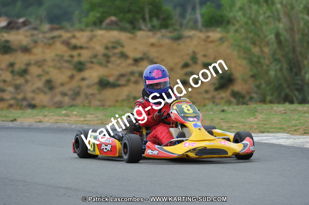 19/06/2011 : 4ème manche du Championnat Open Atlantique à Layrac (Photos Patrick Lascombes) 2011 — karting