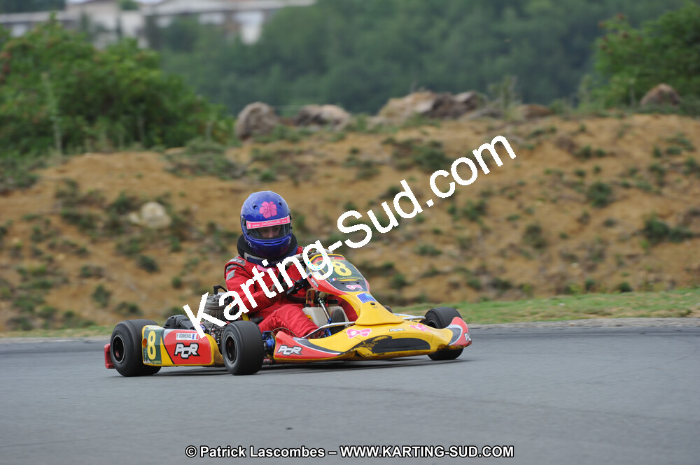 19/06/2011 : 4ème manche du Championnat Open Atlantique à Layrac (Photos Patrick Lascombes) 2011 — karting