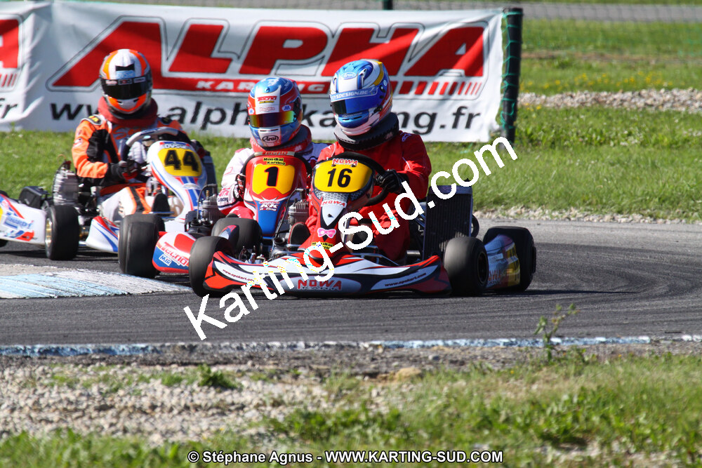 IMG_3210.JPG