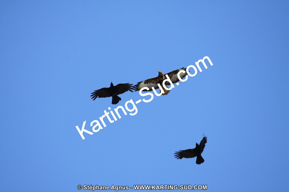 IMG_3905.JPG
