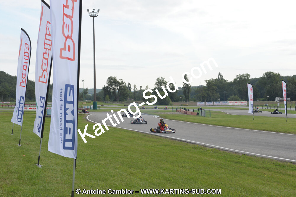 DSC_7729.JPG