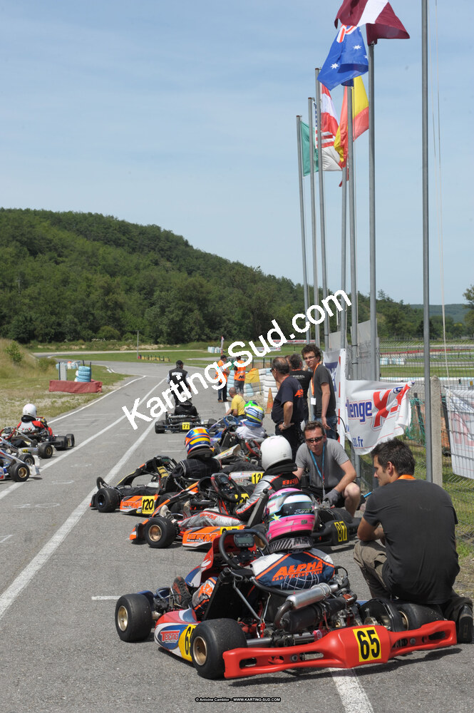 DSC_8642.jpg