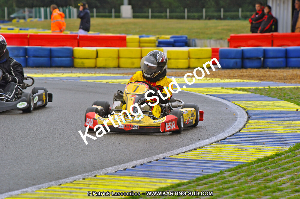 DSC_ (1020).jpg