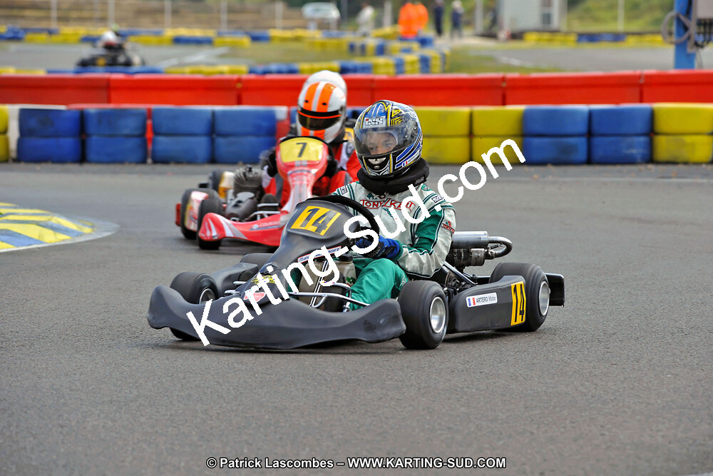 DSC_ (1372).jpg