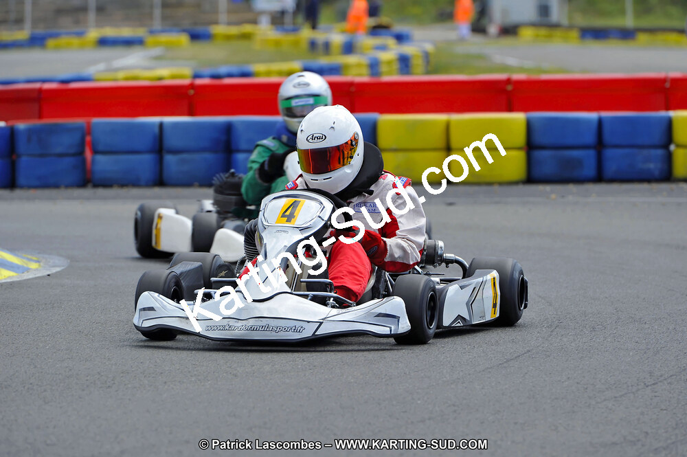 DSC_ (1531).jpg