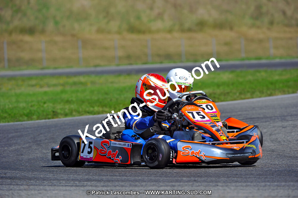 DSC_ (1256).jpg