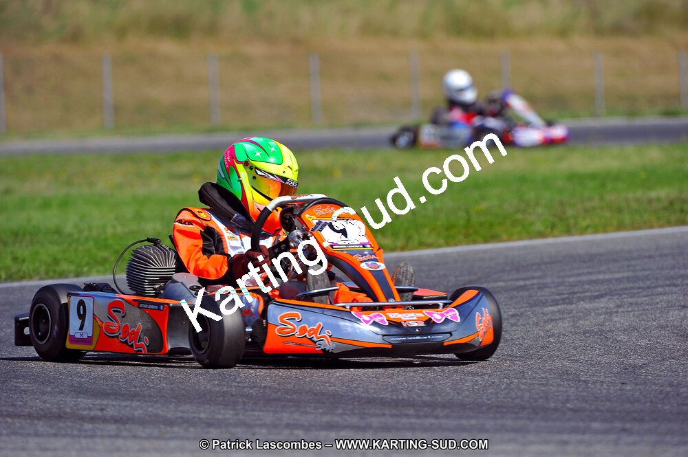 DSC_ (1284).jpg