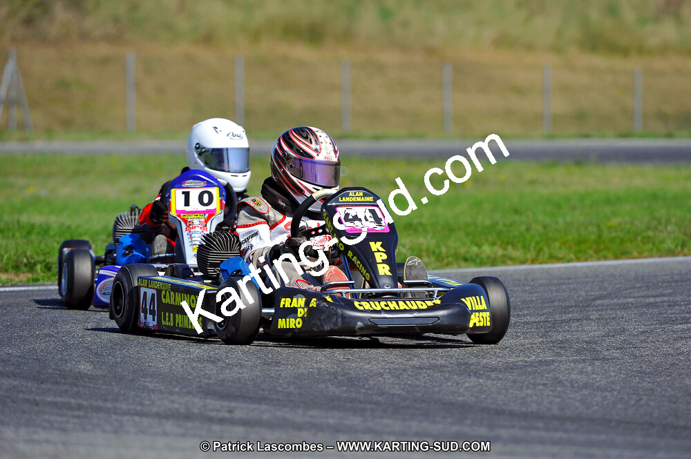 DSC_ (1288).jpg