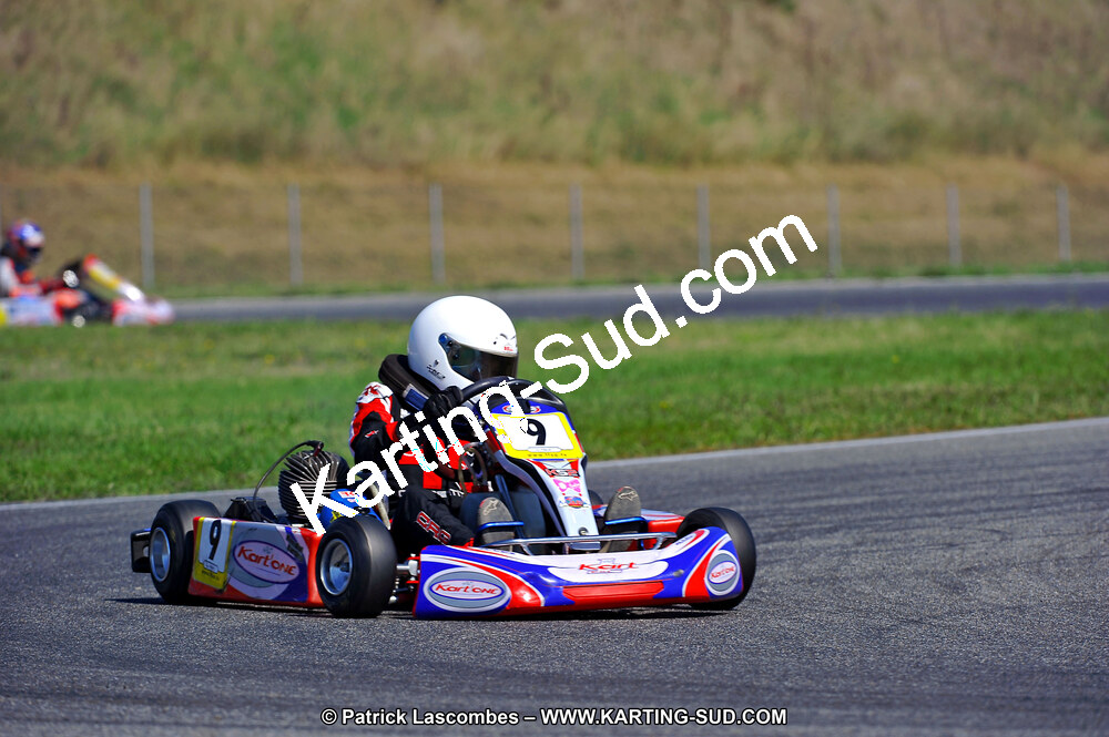 DSC_ (1323).jpg