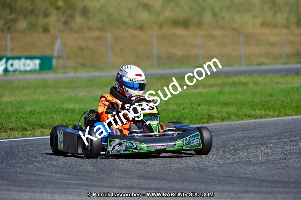 DSC_ (1328).jpg