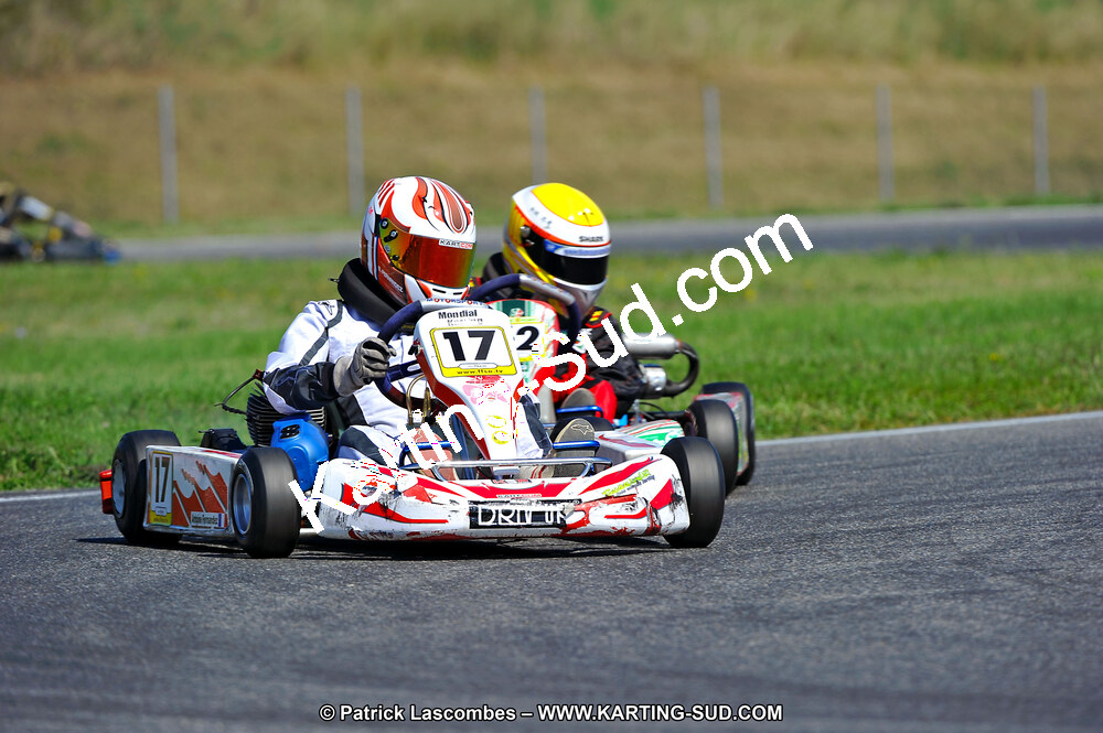 DSC_ (1338).jpg
