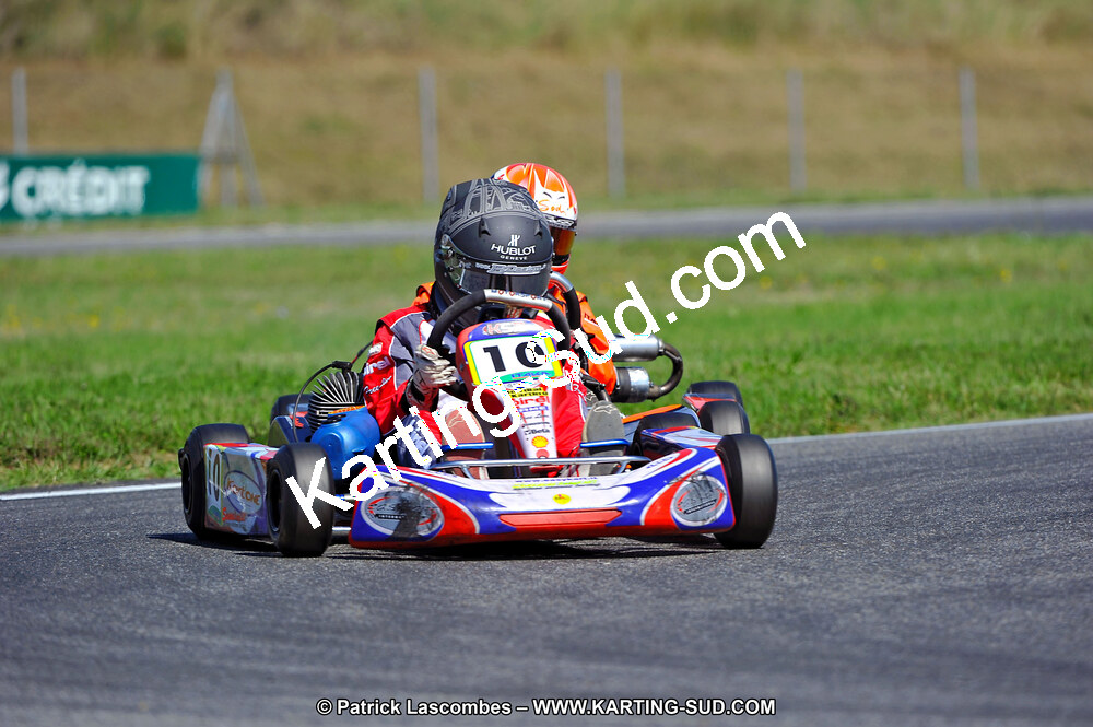 DSC_ (1370).jpg