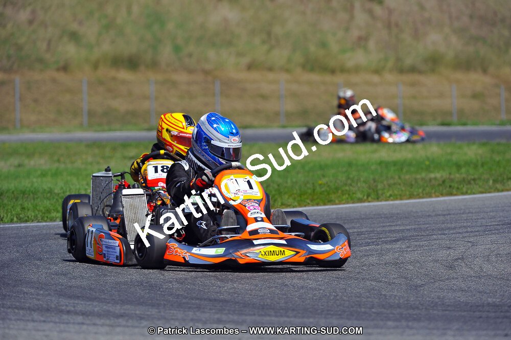 DSC_ (1397).jpg