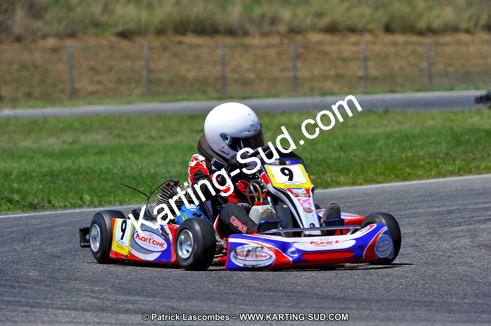 DSC_ (1456).jpg