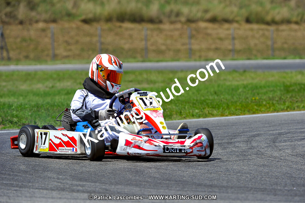 30 & 31/07/2011 : Championnat de France Minime – Cadet – Nationale à Muret (Photos Patrick Lascombes) 2011 — karting