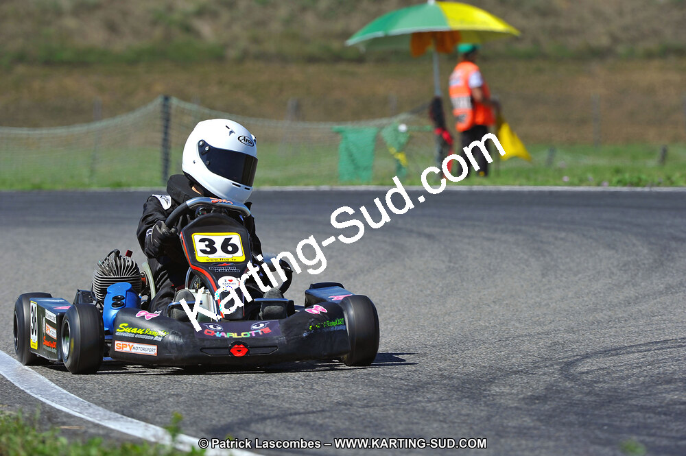 DSC_ (1565).jpg