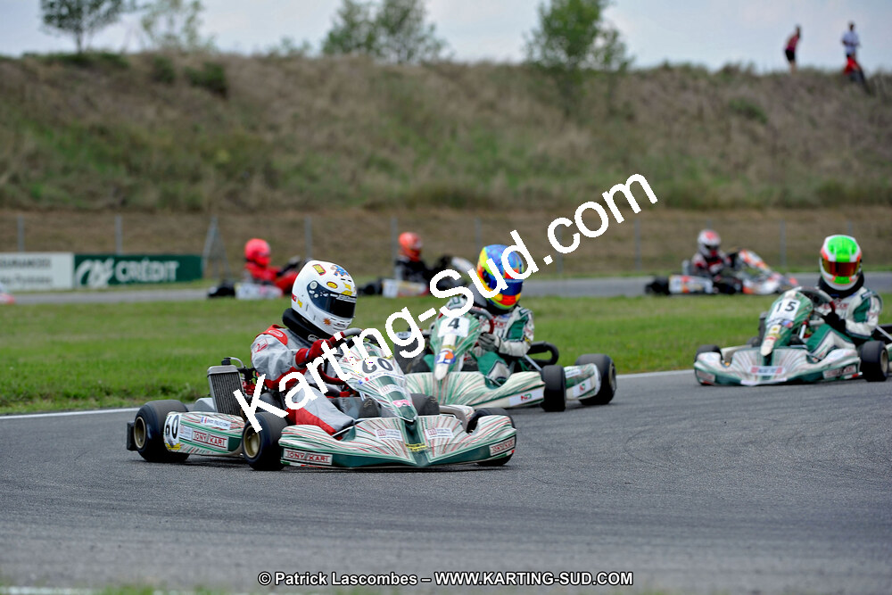 DSC_ (462).jpg