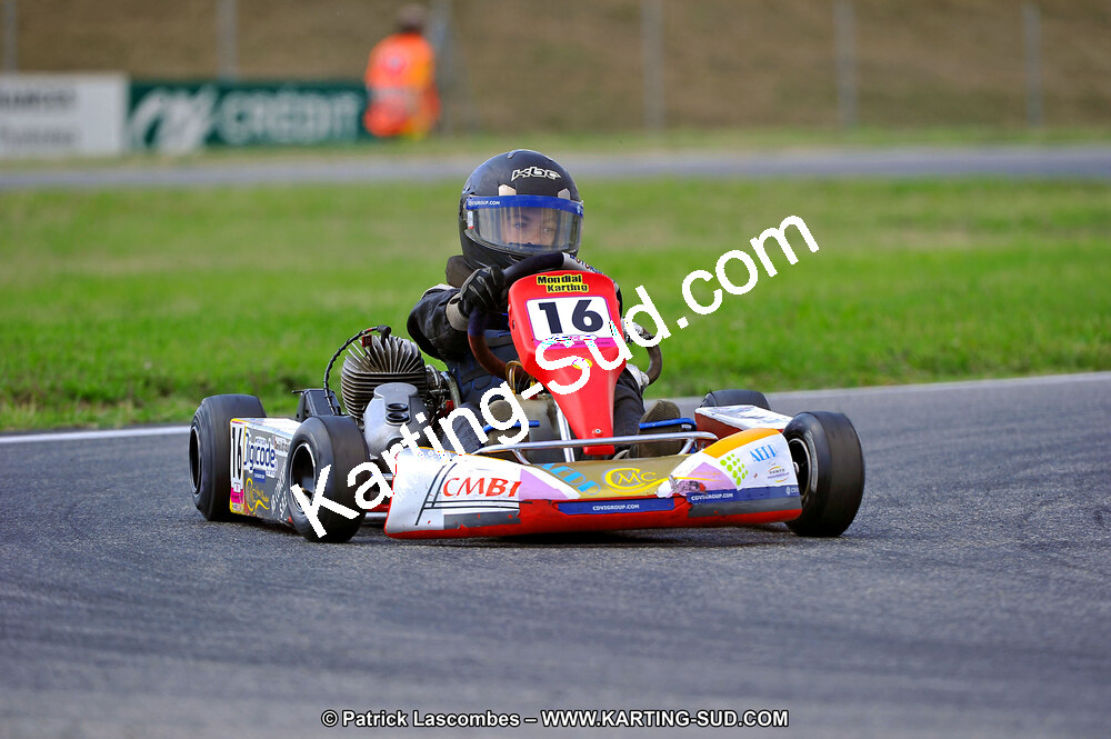 DSC_ (639).jpg