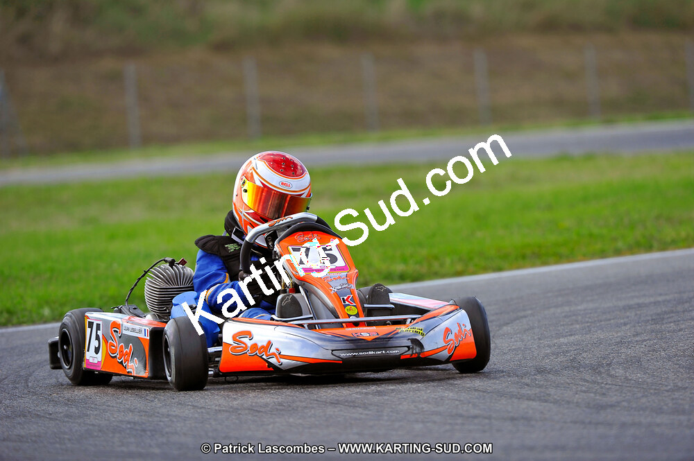 30 & 31/07/2011 : Championnat de France Minime – Cadet – Nationale à Muret (Photos Patrick Lascombes) 2011 — karting